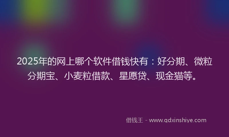 2025年的网上哪个软件借钱快有：好分期、微粒分期宝、小麦粒借款、星愿贷、现金猫等。