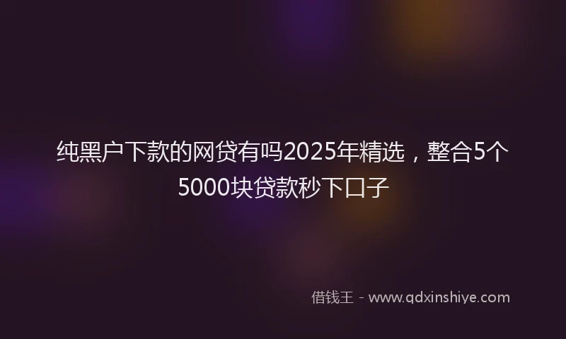 纯黑户下款的网贷有吗2025年精选，整合5个5000块贷款秒下口子