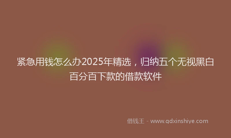 紧急用钱怎么办2025年精选，归纳五个无视黑白百分百下款的借款软件