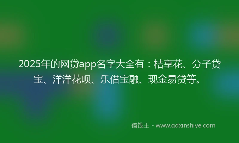 2025年的网贷app名字大全有：桔享花、分子贷宝、洋洋花呗、乐借宝融、现金易贷等。