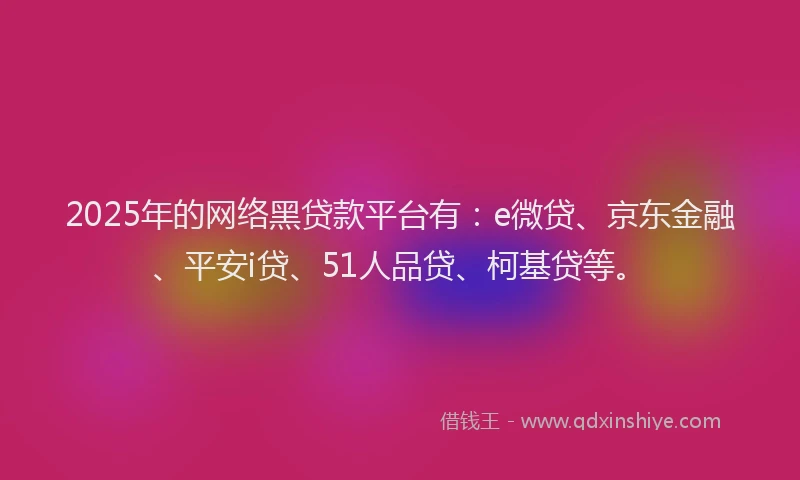 2025年的网络黑贷款平台有：e微贷、京东金融、平安i贷、51人品贷、柯基贷等。
