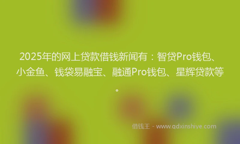 2025年的网上贷款借钱新闻有：智贷Pro钱包、小金鱼、钱袋易融宝、融通Pro钱包、星辉贷款等。