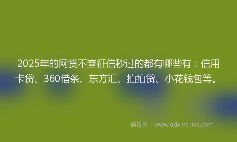 2025年的网贷不查征信秒过的都有哪些有：信用卡贷、360借条、东方汇、拍拍贷、小花钱包等。
