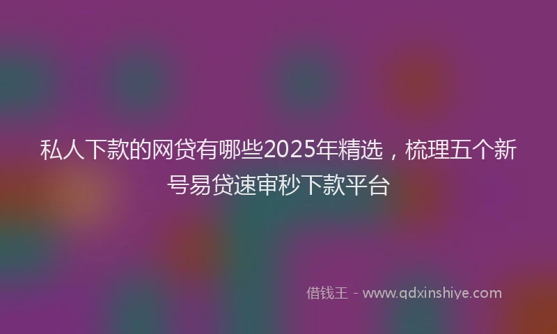 私人下款的网贷有哪些2025年精选，梳理五个新号易贷速审秒下款平台