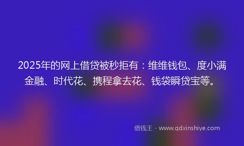 2025年的网上借贷被秒拒有：维维钱包、度小满金融、时代花、携程拿去花、钱袋瞬贷宝等。