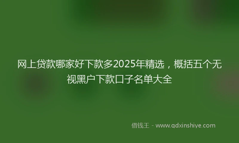 网上贷款哪家好下款多2025年精选，概括五个无视黑户下款口子名单大全