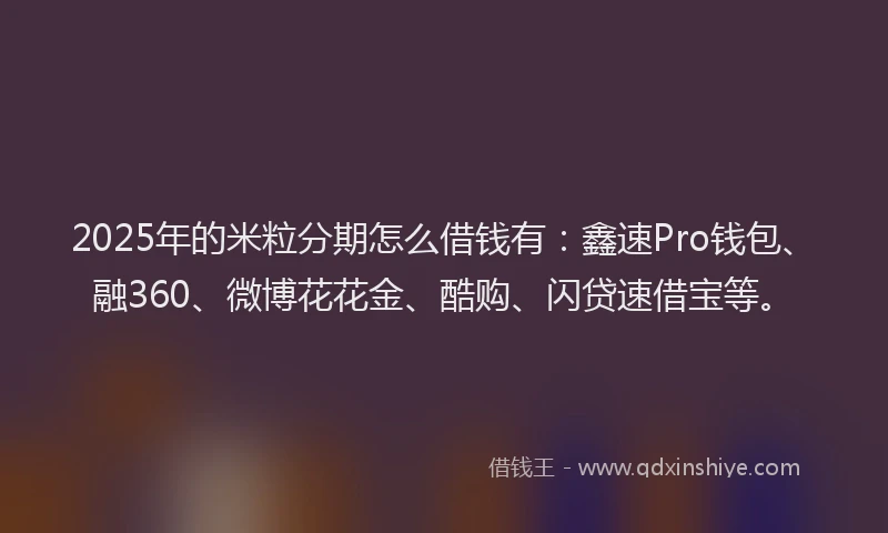 2025年的米粒分期怎么借钱有：鑫速Pro钱包、融360、微博花花金、酷购、闪贷速借宝等。