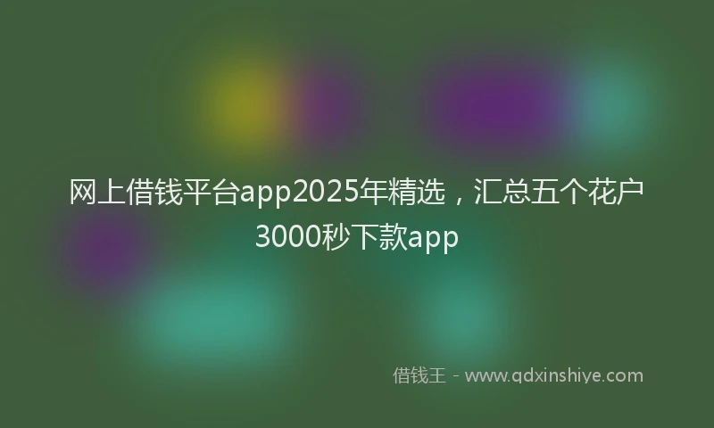 网上借钱平台app2025年精选，汇总五个花户3000秒下款app