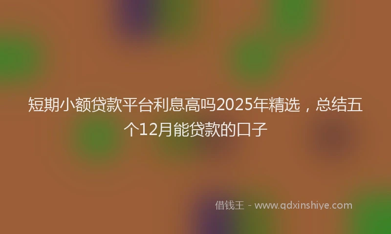 短期小额贷款平台利息高吗2025年精选，总结五个12月能贷款的口子