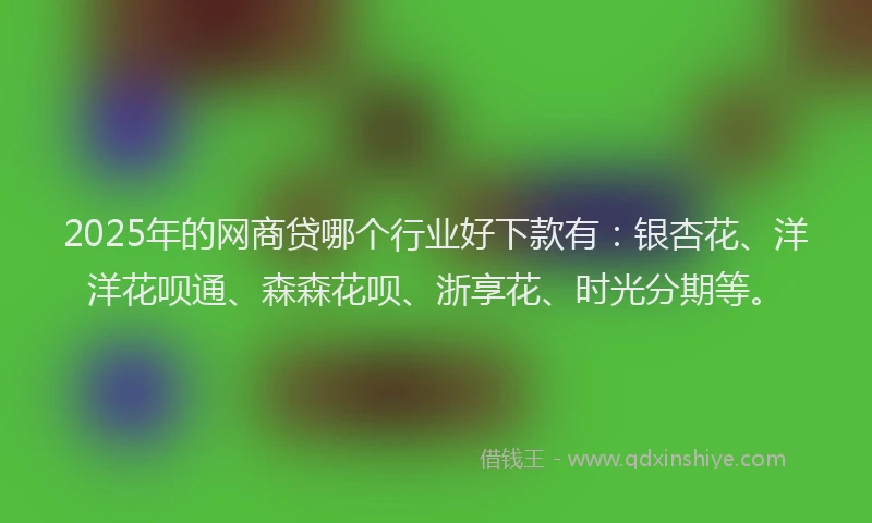 2025年的网商贷哪个行业好下款有：银杏花、洋洋花呗通、森森花呗、浙享花、时光分期等。