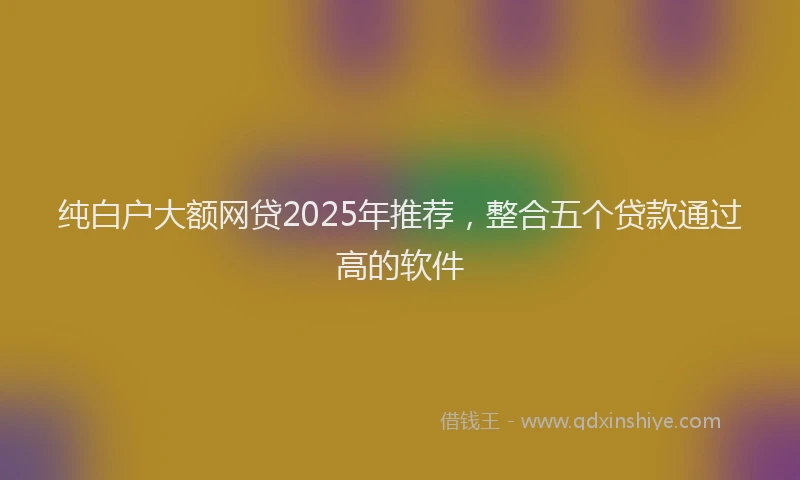 纯白户大额网贷2025年推荐，整合五个贷款通过高的软件