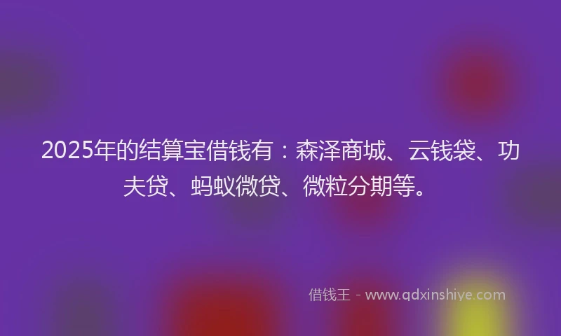 2025年的结算宝借钱有：森泽商城、云钱袋、功夫贷、蚂蚁微贷、微粒分期等。