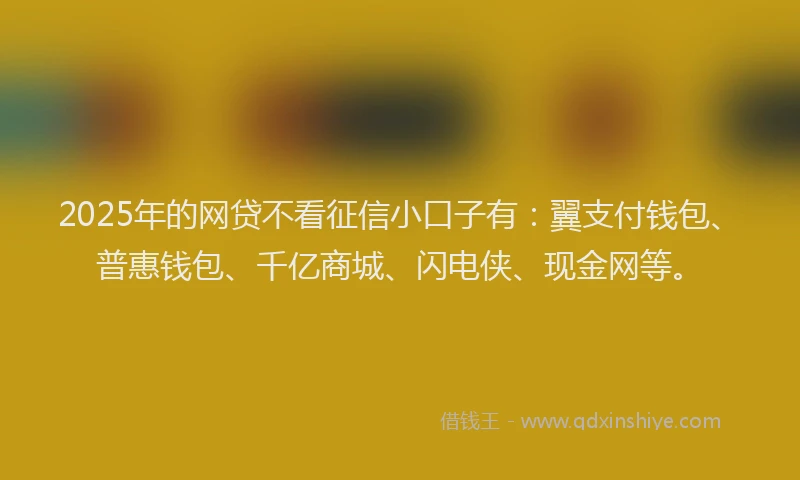 2025年的网贷不看征信小口子有：翼支付钱包、普惠钱包、千亿商城、闪电侠、现金网等。