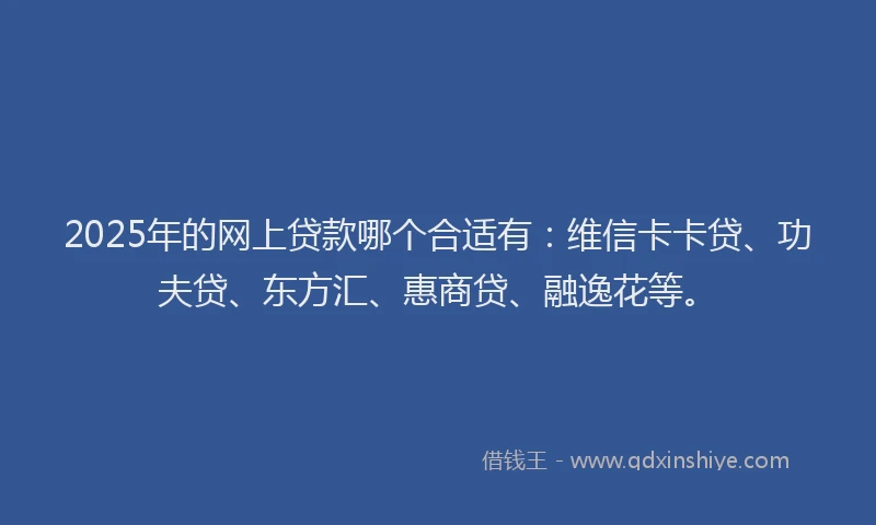 2025年的网上贷款哪个合适有：维信卡卡贷、功夫贷、东方汇、惠商贷、融逸花等。