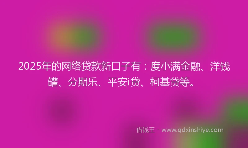 2025年的网络贷款新口子有：度小满金融、洋钱罐、分期乐、平安i贷、柯基贷等。