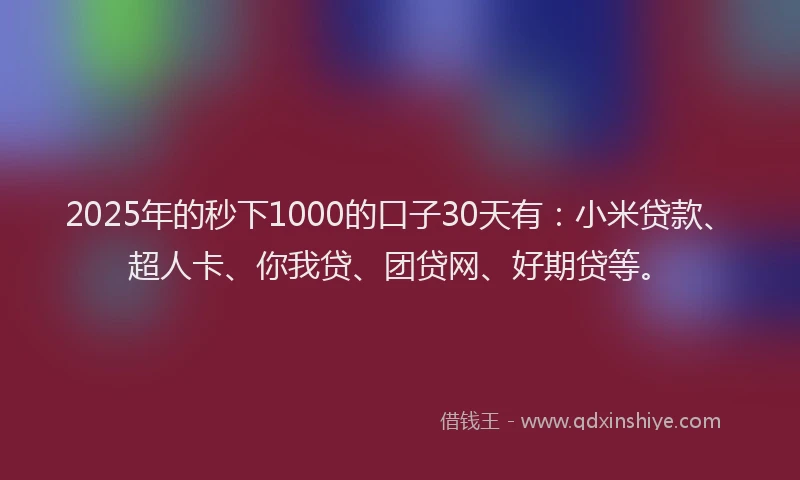 2025年的秒下1000的口子30天有：小米贷款、超人卡、你我贷、团贷网、好期贷等。