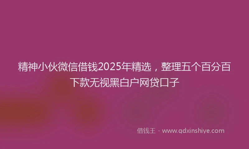 精神小伙微信借钱2025年精选，整理五个百分百下款无视黑白户网贷口子