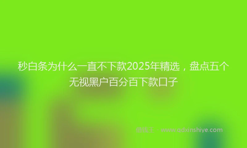 秒白条为什么一直不下款2025年精选，盘点五个无视黑户百分百下款口子