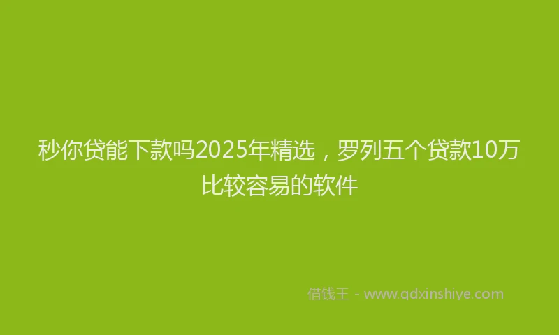 秒你贷能下款吗2025年精选，罗列五个贷款10万比较容易的软件