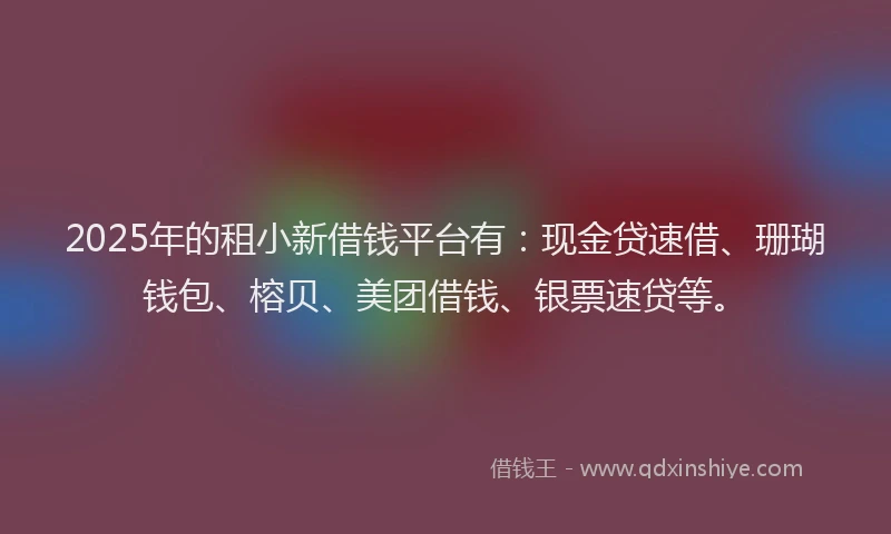 2025年的租小新借钱平台有：现金贷速借、珊瑚钱包、榕贝、美团借钱、银票速贷等。