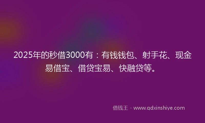 2025年的秒借3000有：有钱钱包、射手花、现金易借宝、借贷宝易、快融贷等。