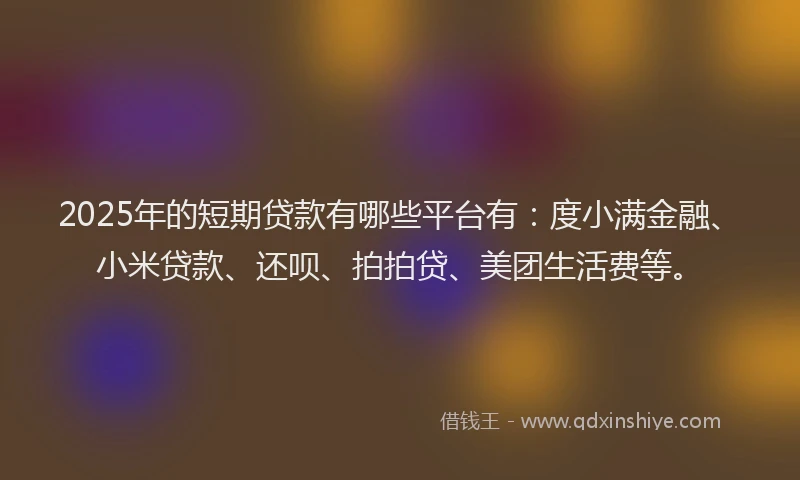2025年的短期贷款有哪些平台有：度小满金融、小米贷款、还呗、拍拍贷、美团生活费等。