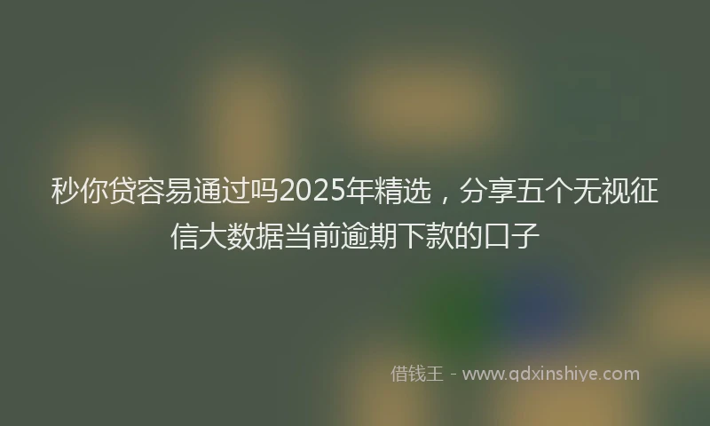 秒你贷容易通过吗2025年精选，分享五个无视征信大数据当前逾期下款的口子