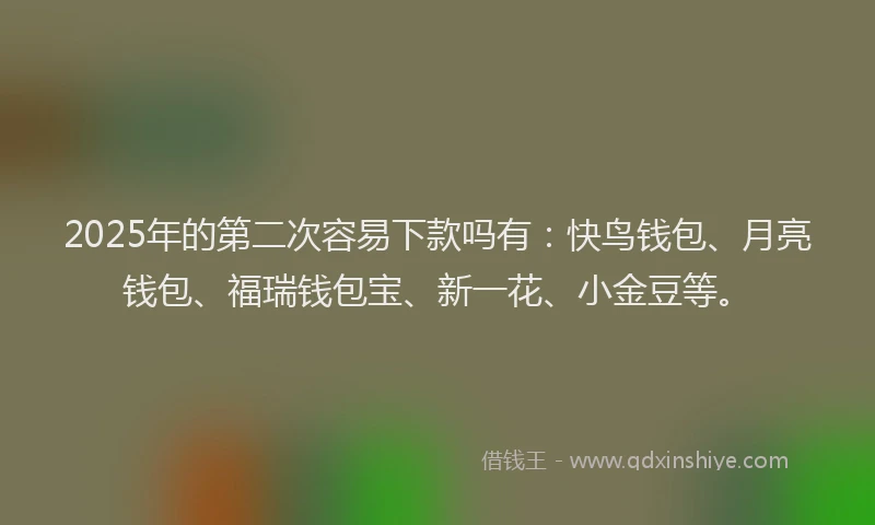 2025年的第二次容易下款吗有：快鸟钱包、月亮钱包、福瑞钱包宝、新一花、小金豆等。