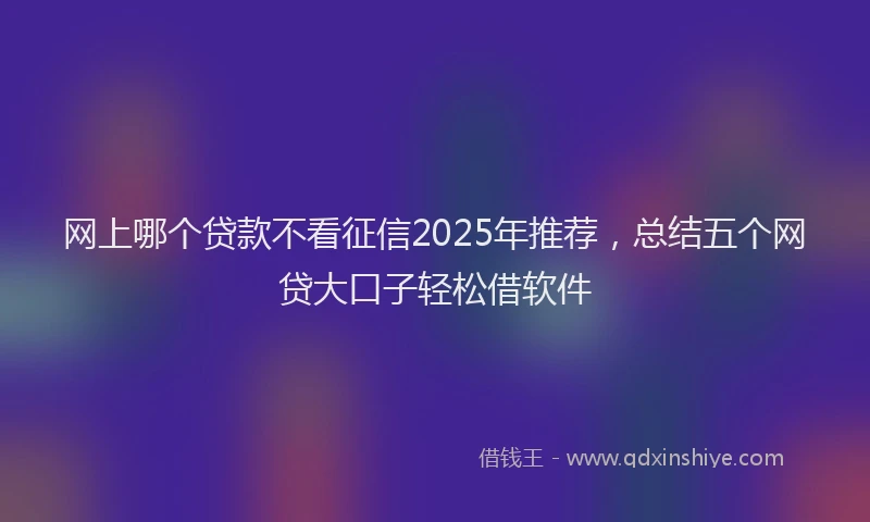 网上哪个贷款不看征信2025年推荐，总结五个网贷大口子轻松借软件