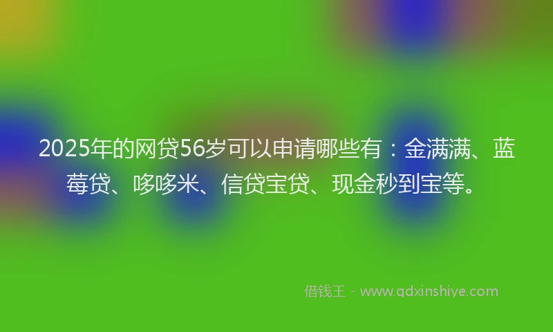 2025年的网贷56岁可以申请哪些有：金满满、蓝莓贷、哆哆米、信贷宝贷、现金秒到宝等。