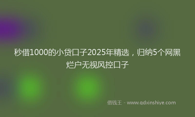 秒借1000的小贷口子2025年精选，归纳5个网黑烂户无视风控口子