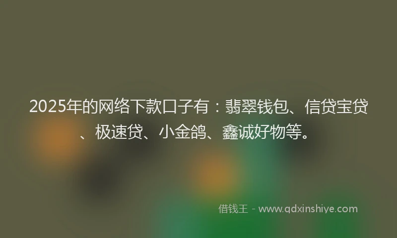 2025年的网络下款口子有：翡翠钱包、信贷宝贷、极速贷、小金鸽、鑫诚好物等。