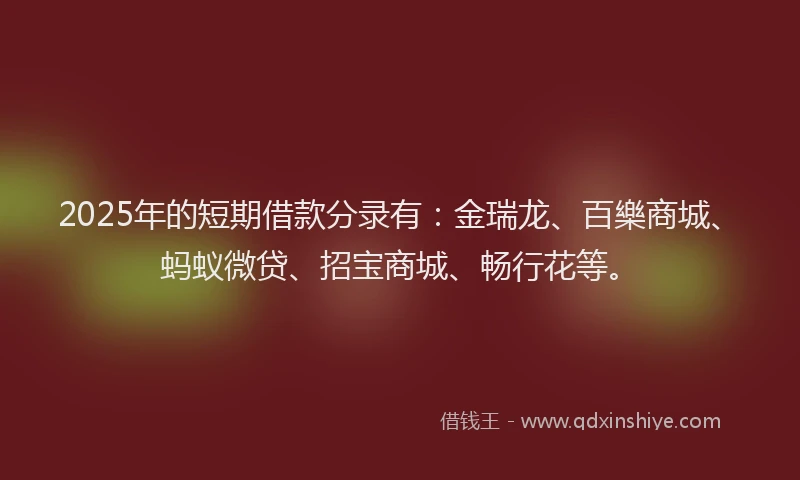 2025年的短期借款分录有：金瑞龙、百樂商城、蚂蚁微贷、招宝商城、畅行花等。
