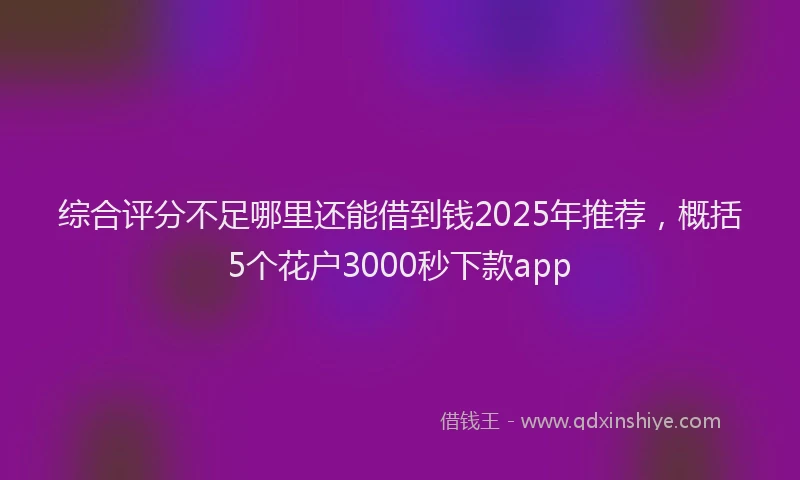 综合评分不足哪里还能借到钱2025年推荐，概括5个花户3000秒下款app