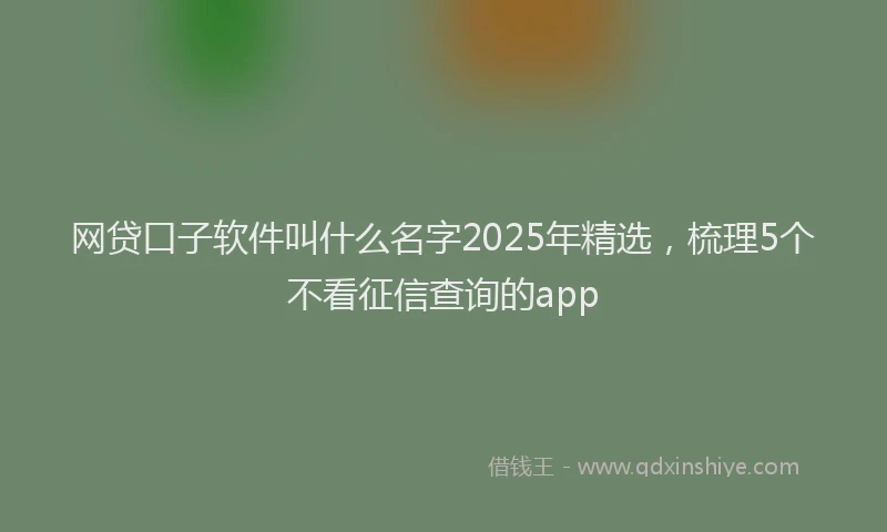 网贷口子软件叫什么名字2025年精选，梳理5个不看征信查询的app