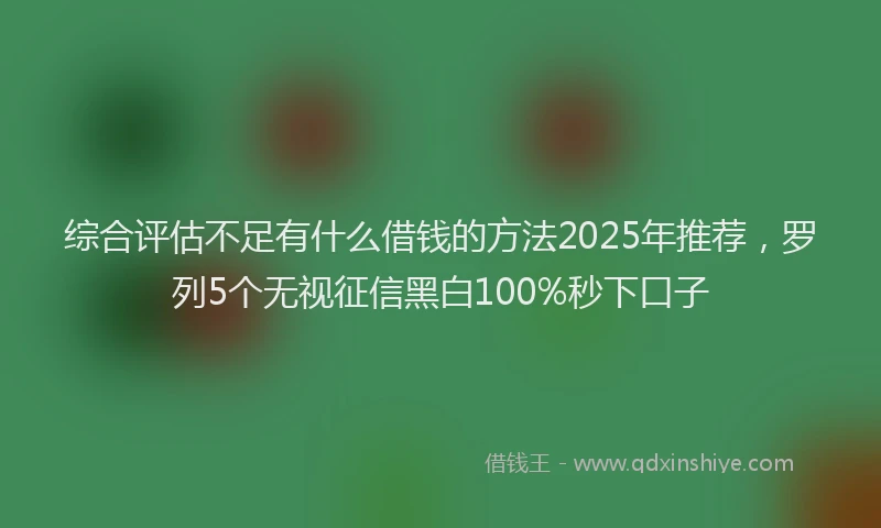综合评估不足有什么借钱的方法2025年推荐，罗列5个无视征信黑白100%秒下口子