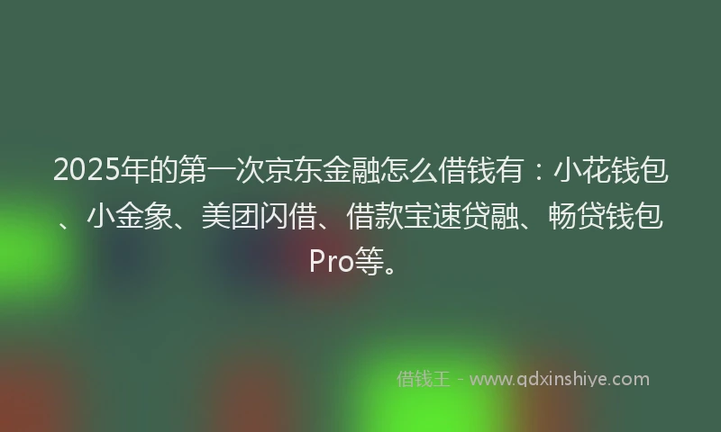 2025年的第一次京东金融怎么借钱有：小花钱包、小金象、美团闪借、借款宝速贷融、畅贷钱包Pro等。