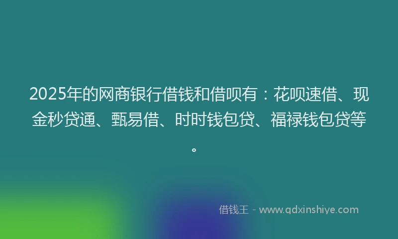 2025年的网商银行借钱和借呗有：花呗速借、现金秒贷通、甄易借、时时钱包贷、福禄钱包贷等。