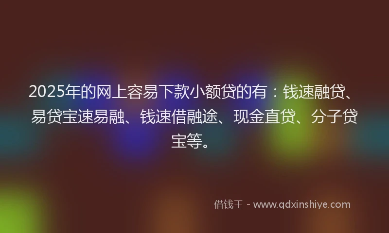 2025年的网上容易下款小额贷的有：钱速融贷、易贷宝速易融、钱速借融途、现金直贷、分子贷宝等。