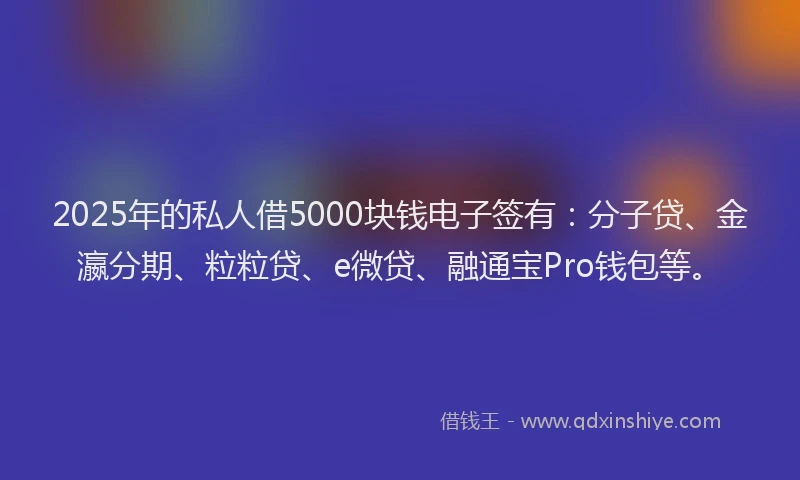 2025年的私人借5000块钱电子签有：分子贷、金瀛分期、粒粒贷、e微贷、融通宝Pro钱包等。