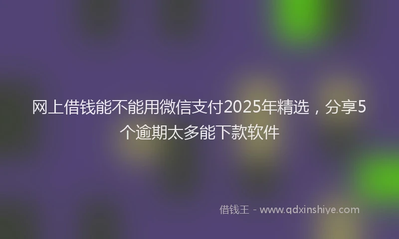 网上借钱能不能用微信支付2025年精选，分享5个逾期太多能下款软件