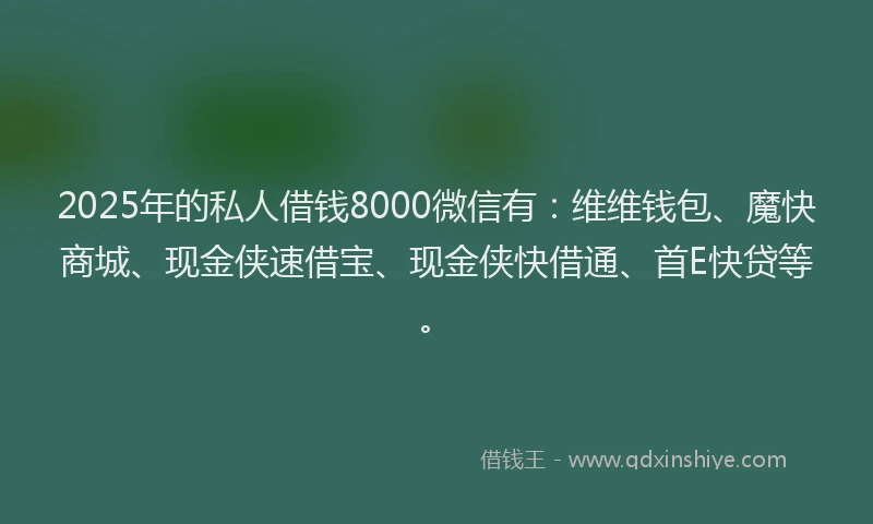2025年的私人借钱8000微信有：维维钱包、魔快商城、现金侠速借宝、现金侠快借通、首E快贷等。