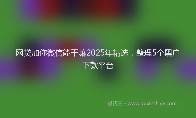 网贷加你微信能干嘛2025年精选，整理5个黑户下款平台