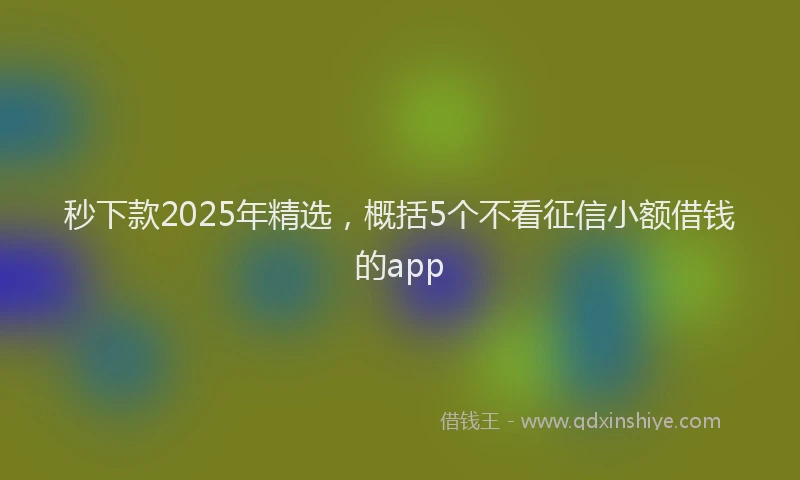 秒下款2025年精选，概括5个不看征信小额借钱的app