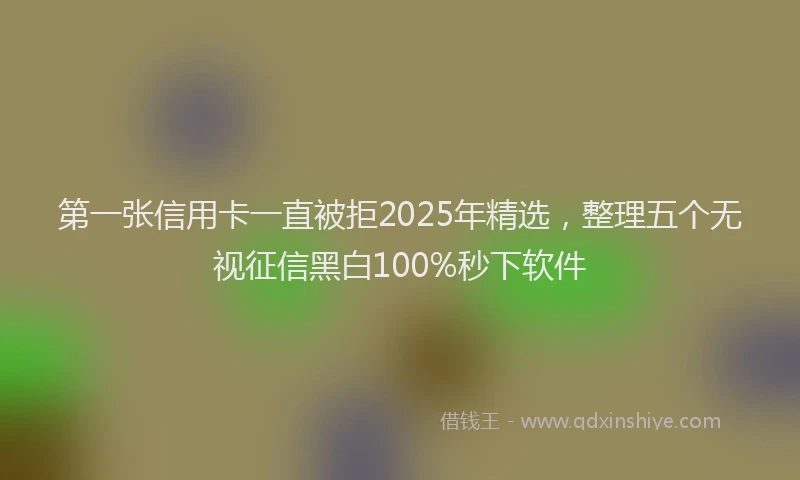 第一张信用卡一直被拒2025年精选，整理五个无视征信黑白100%秒下软件