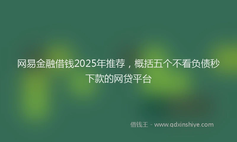 网易金融借钱2025年推荐，概括五个不看负债秒下款的网贷平台