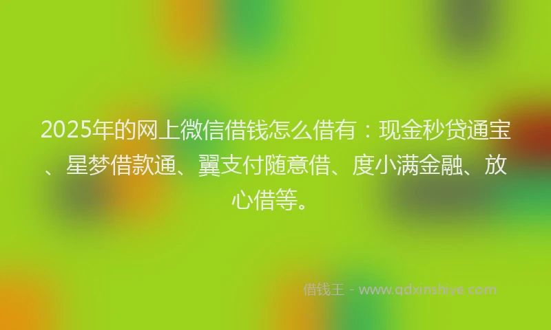 2025年的网上微信借钱怎么借有：现金秒贷通宝、星梦借款通、翼支付随意借、度小满金融、放心借等。