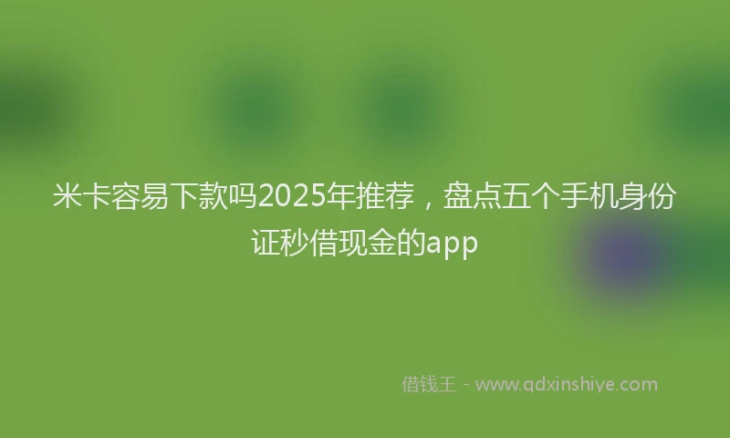 米卡容易下款吗2025年推荐，盘点五个手机身份证秒借现金的app