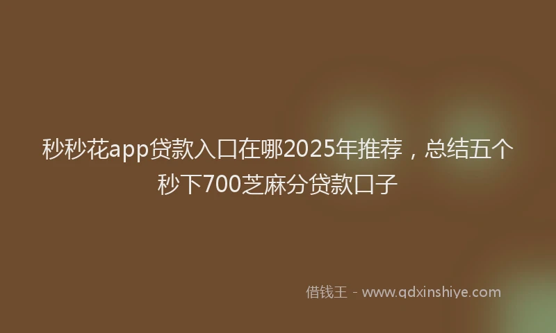 秒秒花app贷款入口在哪2025年推荐，总结五个秒下700芝麻分贷款口子