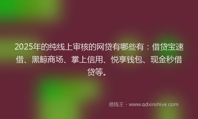 2025年的纯线上审核的网贷有哪些有：借贷宝速借、黑鲸商场、掌上信用、悦享钱包、现金秒借贷等。